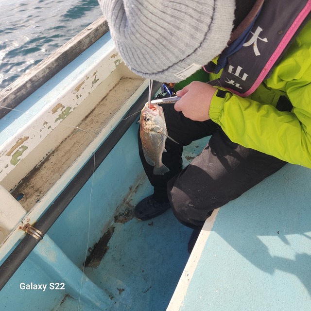 イシモチ(シログチ)