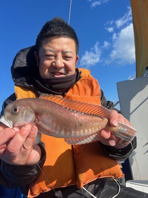 アマダイ(アカアマダイ)