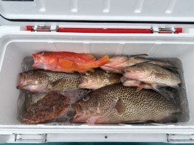 アカハタ・オオモンハタ