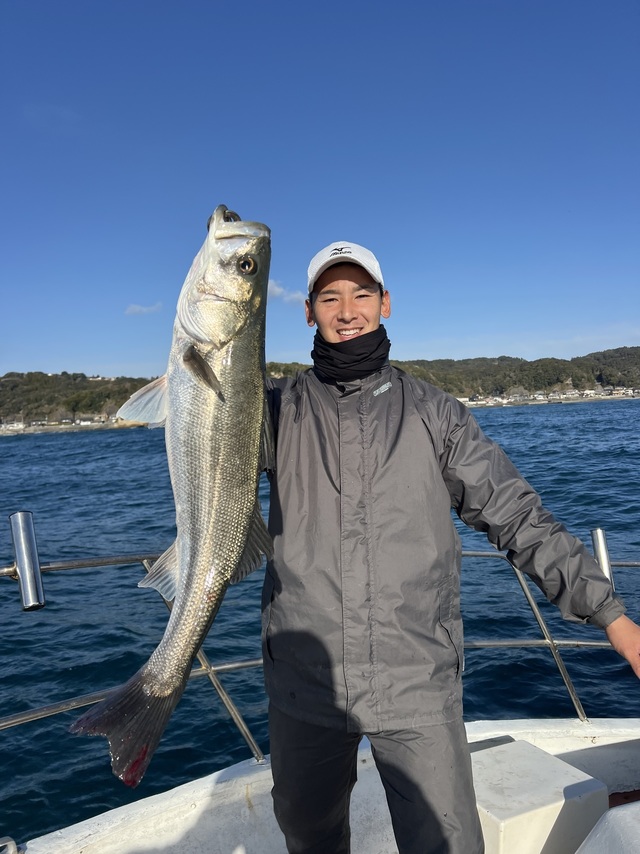 シーバス(スズキ)