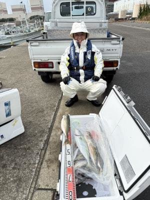 マアジ・ハマチ(ブリ)