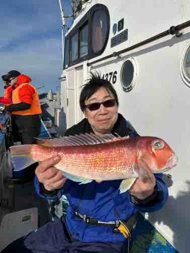 アマダイ(アカアマダイ)