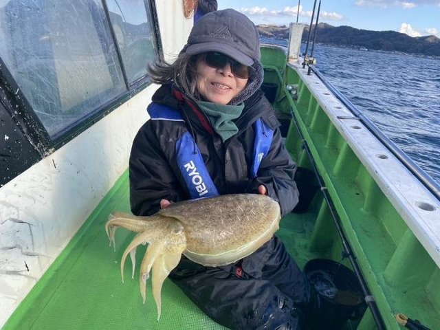 モンゴウ(カミナリイカ)