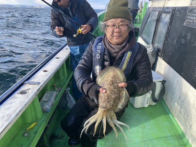 モンゴウ(カミナリイカ)