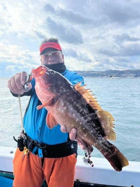 アコウ(キジハタ)