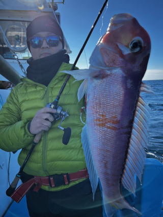 アマダイ(アカアマダイ)