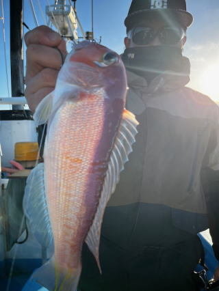 アマダイ(アカアマダイ)