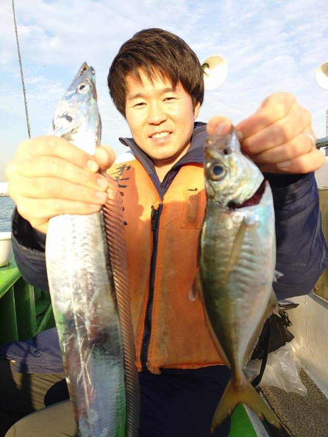 アジ(マアジ)・タチウオ