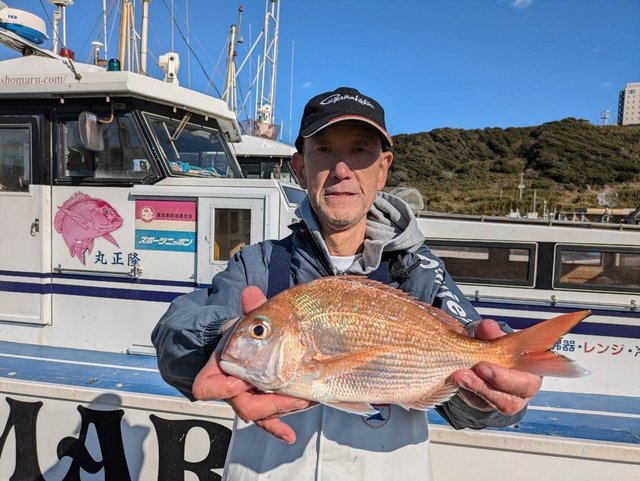 ハナダイ(チダイ)