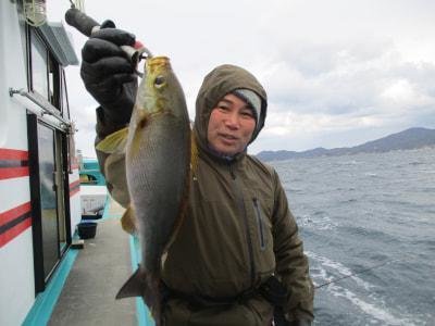 イサギ(イサキ)