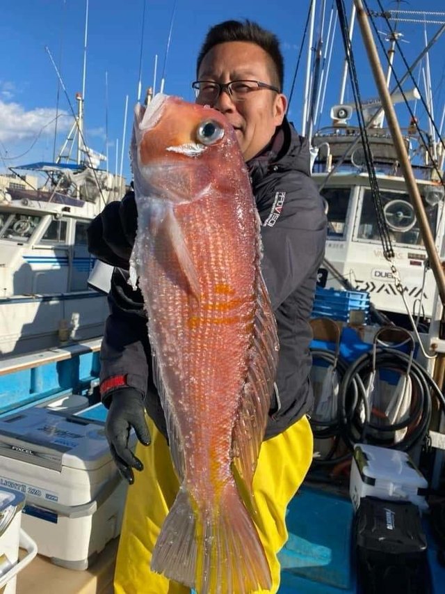 アマダイ(アカアマダイ)