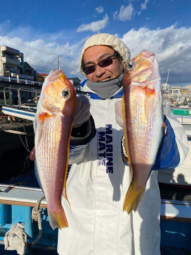 アマダイ(アカアマダイ)