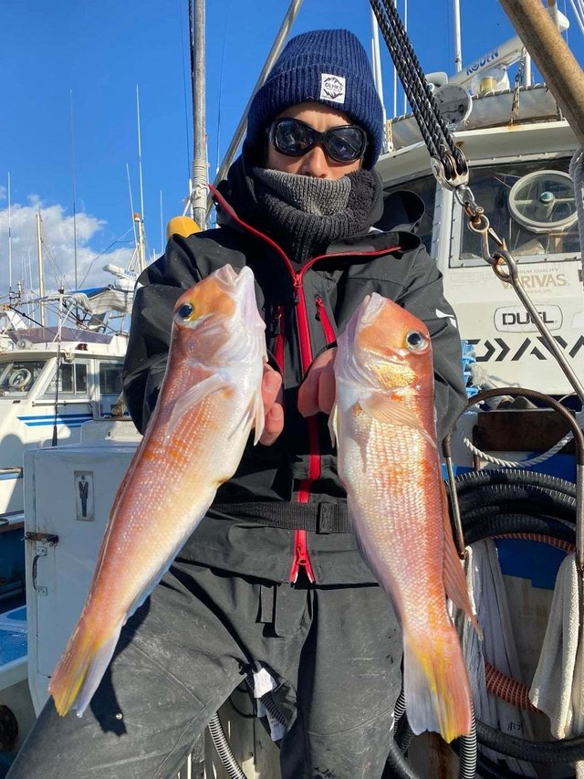 アマダイ(アカアマダイ)