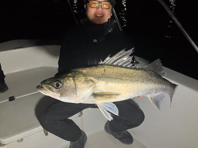 シーバス(スズキ)