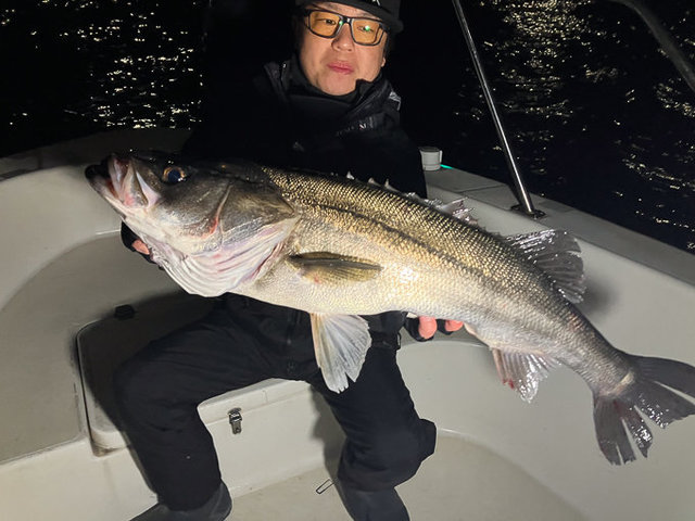 シーバス(スズキ)