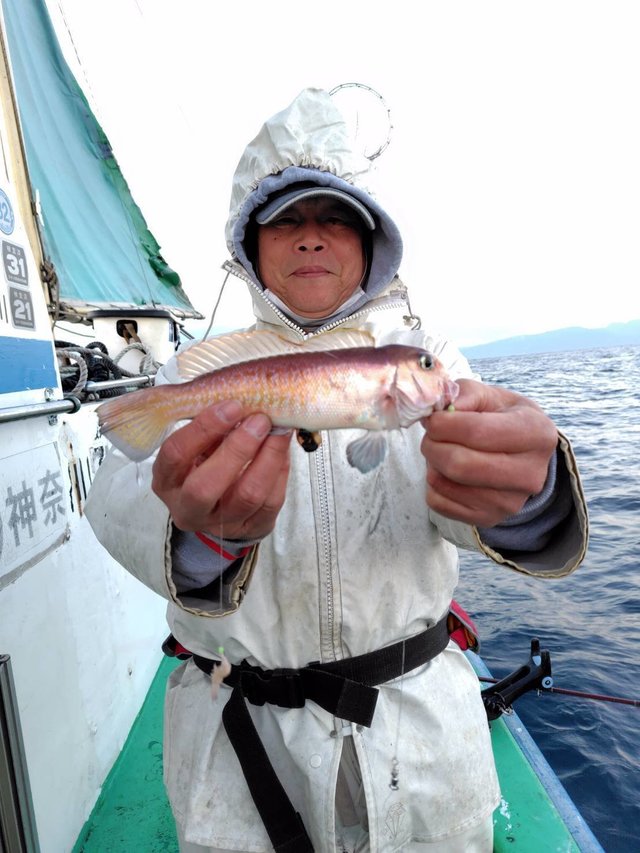 アマダイ(アカアマダイ)