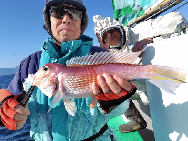 アマダイ(アカアマダイ)