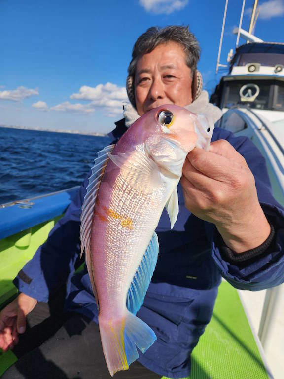 アマダイ(アカアマダイ)