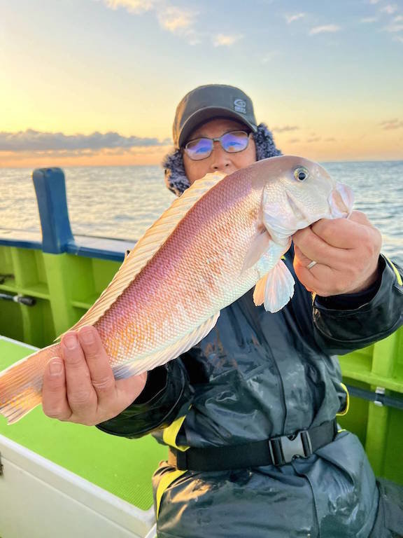 アマダイ(アカアマダイ)