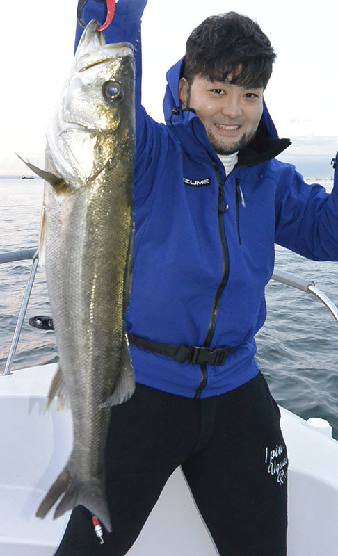 シーバス(スズキ)