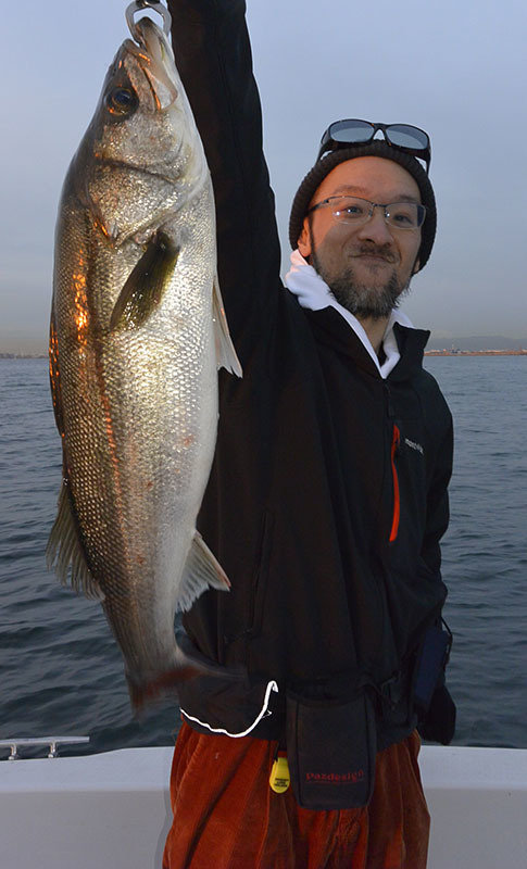 シーバス(スズキ)