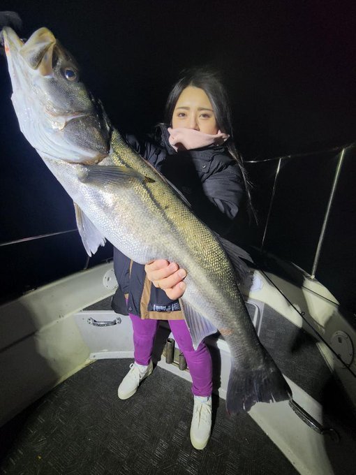 シーバス(スズキ)