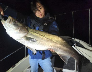 シーバス(スズキ)