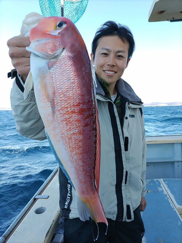 アマダイ(アカアマダイ)