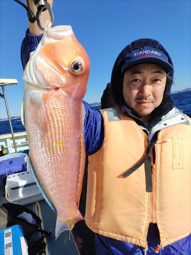 アマダイ(アカアマダイ)