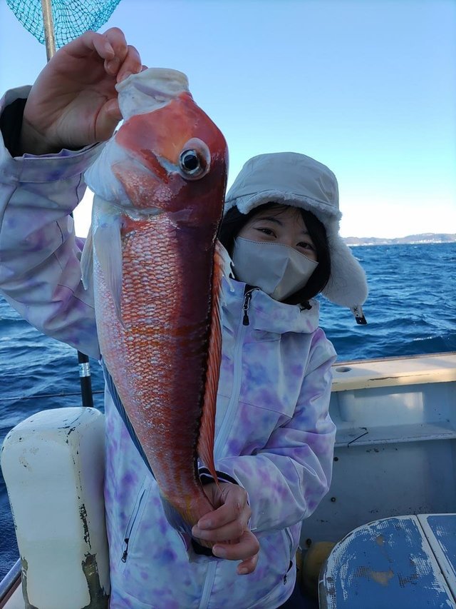 アマダイ(アカアマダイ)