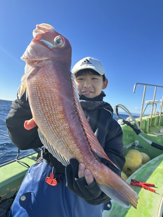 アマダイ(アカアマダイ)