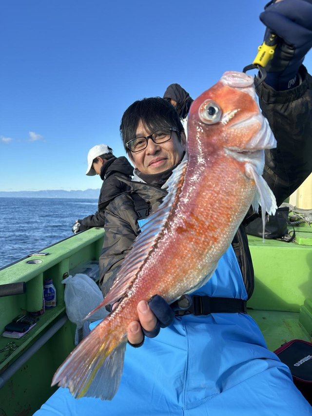 アマダイ(アカアマダイ)