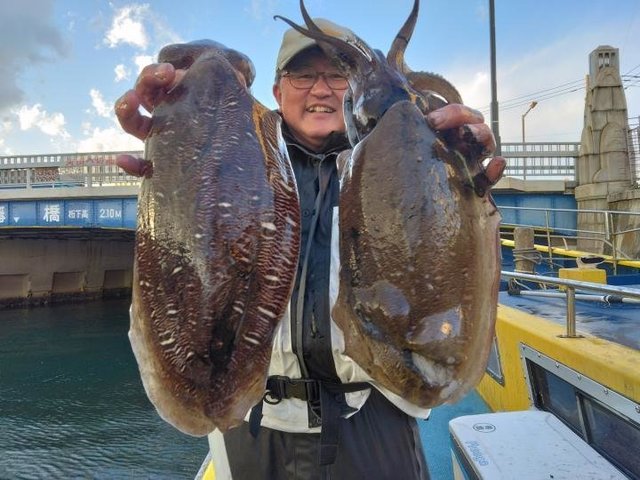 スミイカ(コウイカ)・カミナリイカ