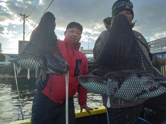 スミイカ(コウイカ)・カミナリイカ