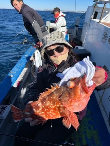 アマダイ(アカアマダイ)