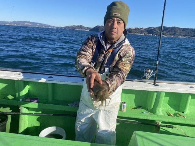 モンゴウ(カミナリイカ)