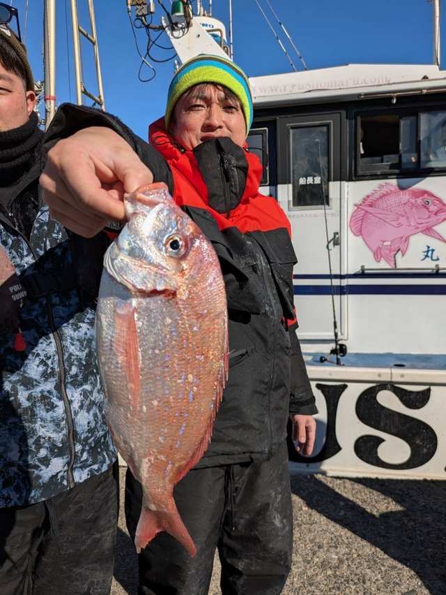 ハナダイ(チダイ)