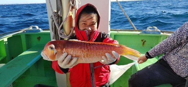 アマダイ(アカアマダイ)