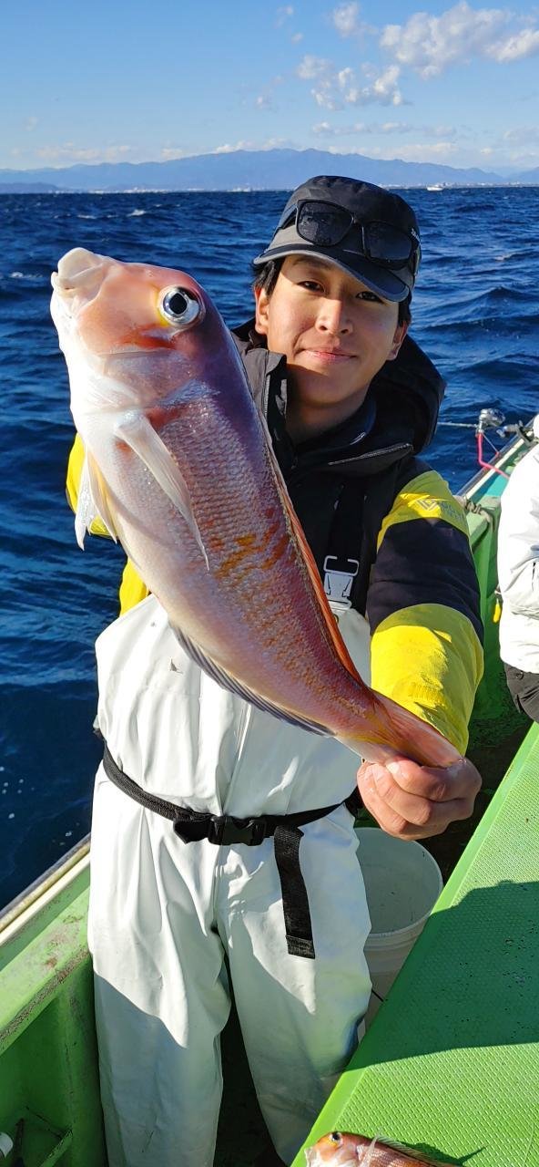 アマダイ(アカアマダイ)