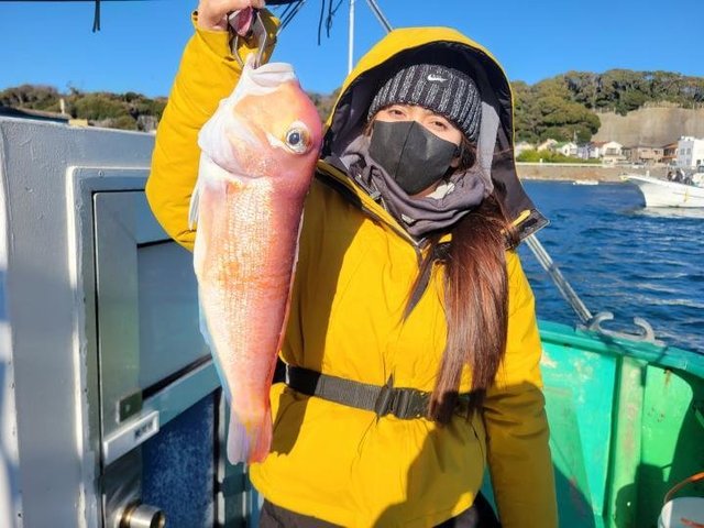 アマダイ(アカアマダイ)