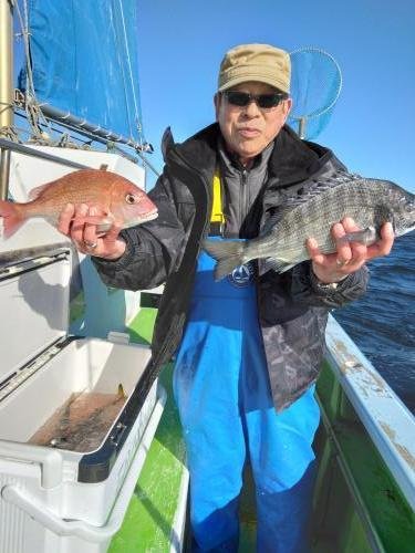 マダイ・クロダイ