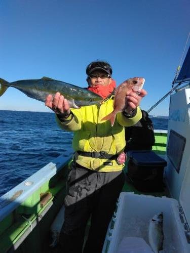 マダイ・イナダ(ブリ)