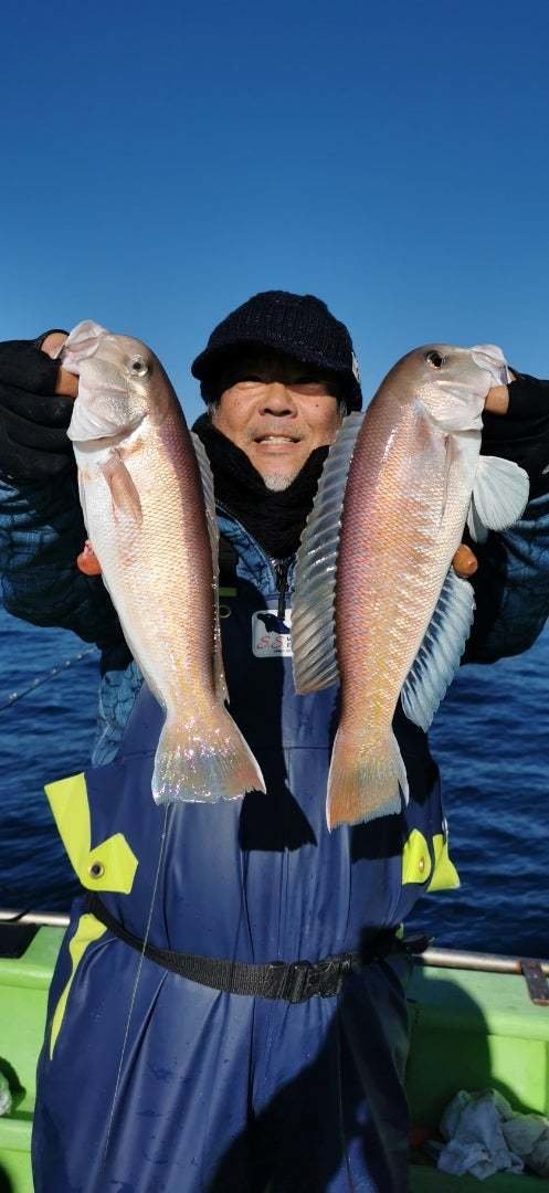 アマダイ(アカアマダイ)