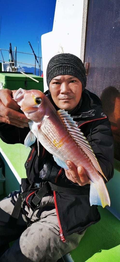 アマダイ(アカアマダイ)