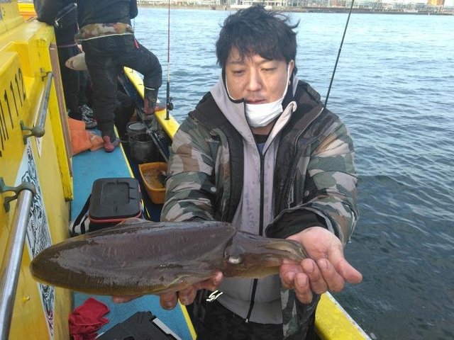 スミイカ(コウイカ)