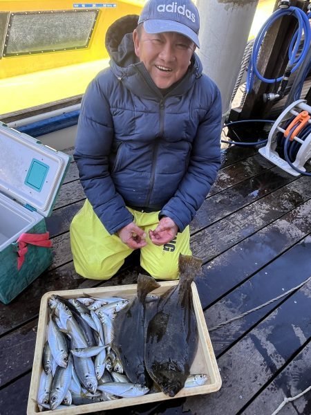 アジ(マアジ)・ヒラメ