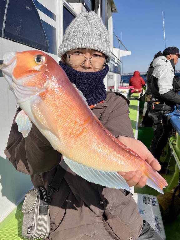 アマダイ(アカアマダイ)