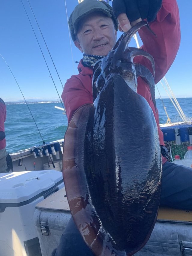 モンゴウ(カミナリイカ)