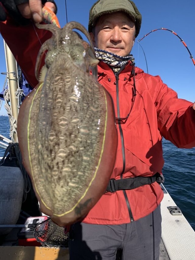 モンゴウ(カミナリイカ)