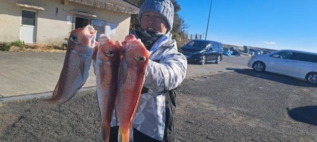 アマダイ(アカアマダイ)